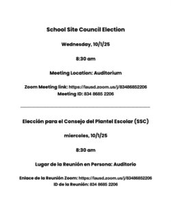 Election Flyer